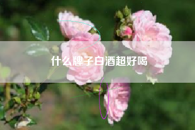 什么牌子白酒超好喝 什么牌子白酒超好喝