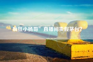 疯狂小杨哥”直播间卖假茅台？