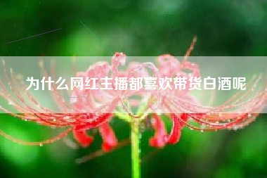 为什么网红主播都喜欢带货白酒呢