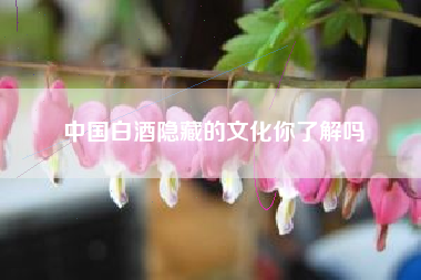 中国白酒隐藏的文化你了解吗 中国白酒隐藏的文化你了解吗