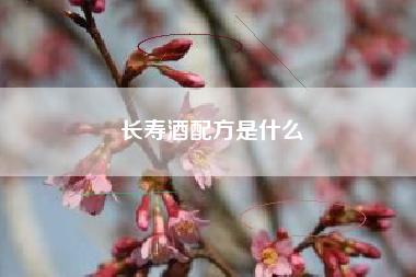 长寿酒配方是什么
