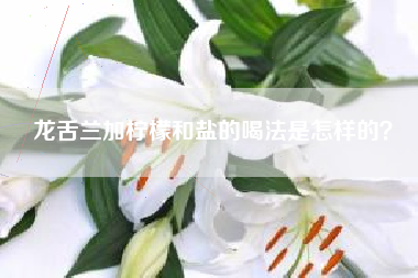 龙舌兰加柠檬和盐的喝法是怎样的？